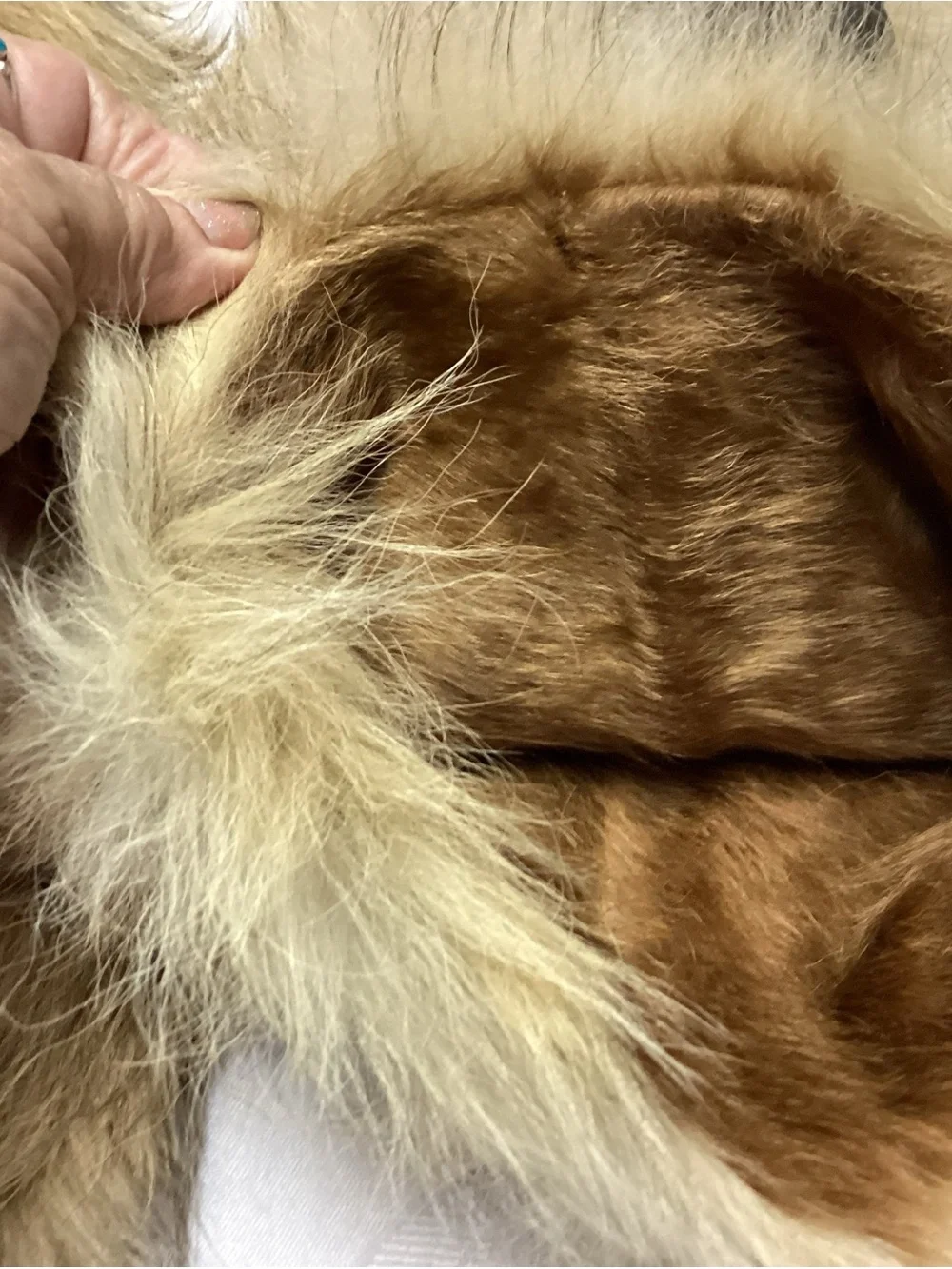 Fur Alaskan amazing vintage Mittens Gigantic sized must see ♥️♥️♥️♥️